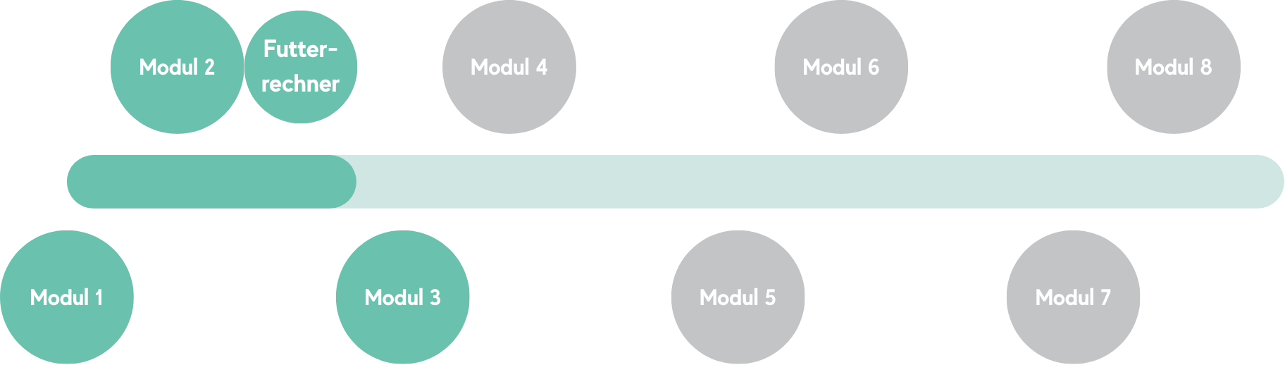 Status der Ausbildungsveröffentlichung, Aktuell im Modul 3