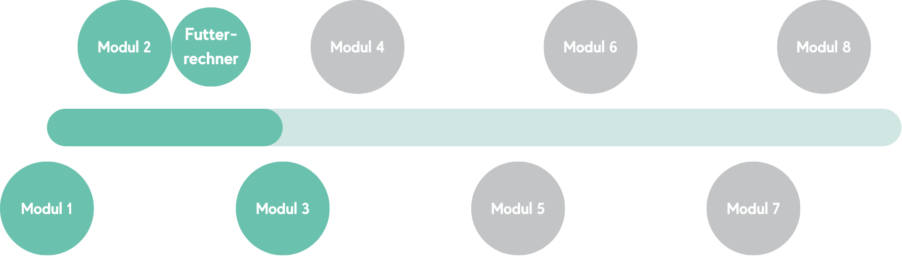 Status der Ausbildungsveröffentlichung, Aktuell im Modul 3