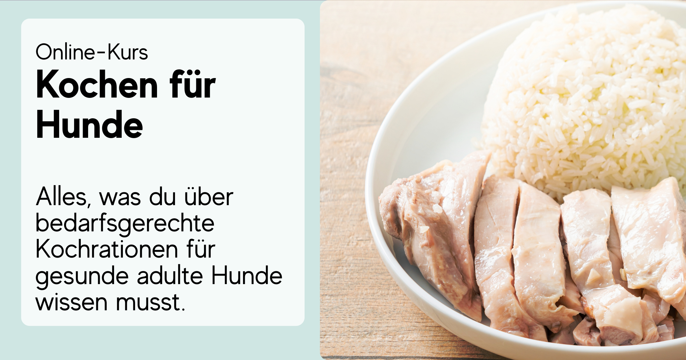 Kochen für Hunde